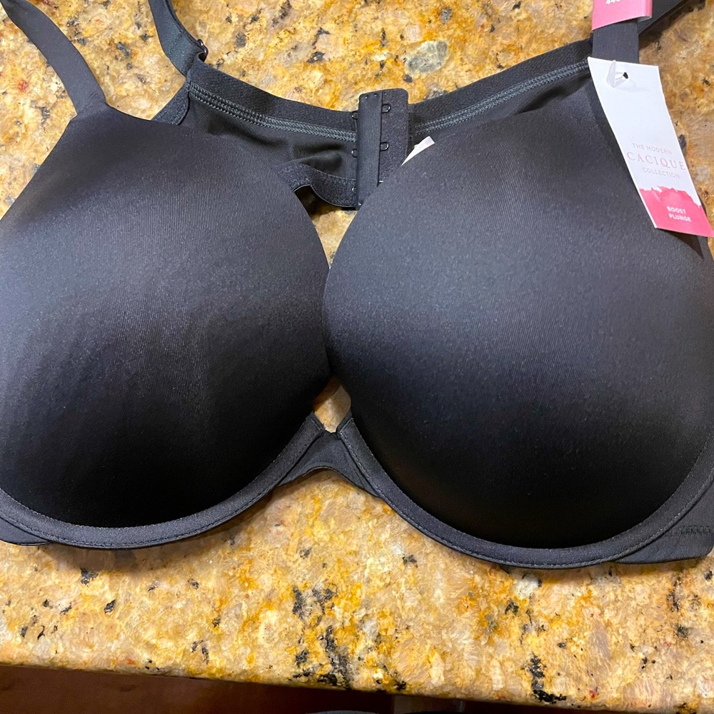 Brand New Bra